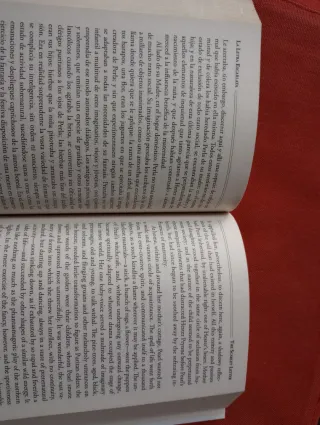 La Letra Escarlata / The Scarlet Letter