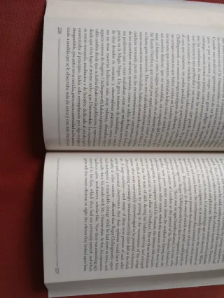 La Letra Escarlata / The Scarlet Letter