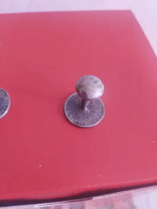 Gemelos Antiguos 1813 En Unión