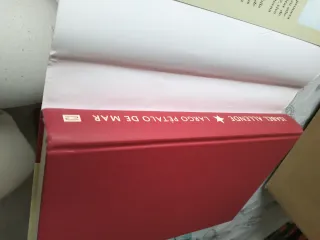 Largo pétalo de mar - Isabel Allende