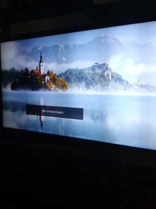 TV LG 55 en muy buen estado