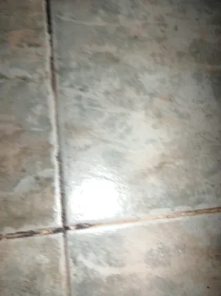 Porta zapatas PUCH TZX