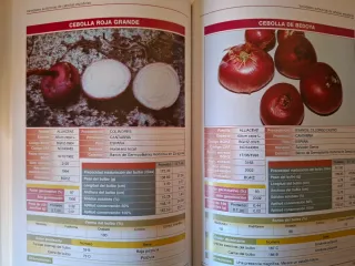 VARIEDADES AUTÓCTONAS DE CEBOLLAS ESPAÑOLAS