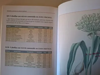 VARIEDADES AUTÓCTONAS DE CEBOLLAS ESPAÑOLAS
