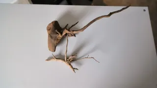 Troncos para acuario