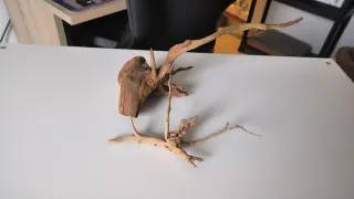 Troncos para acuario