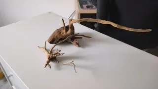 Troncos para acuario