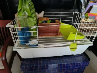 Jaula Cobaya Accesorios Bebedero Comida