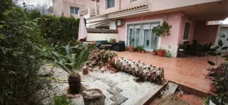 Tronco de palmera para banco