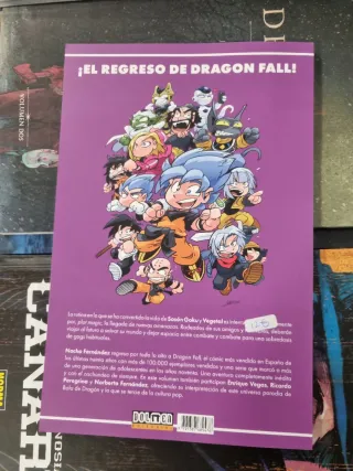 DRAGON FALL RETURNS