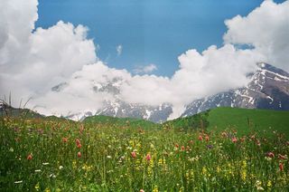 Cámara Analogica Canon Prima Zoom 85N Plata