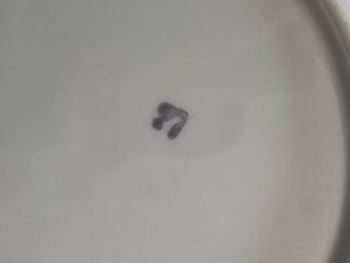 Set 5 Piatti Porcellana Decorati