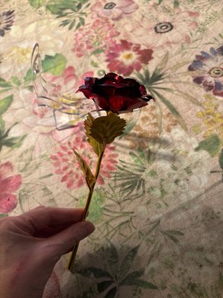 Rosa rossa e oro in metallo