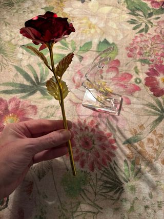 Rosa rossa e oro in metallo