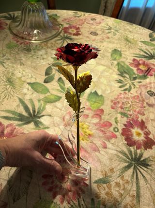 Rosa rossa e oro in metallo