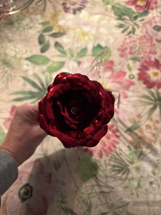 Rosa rossa e oro in metallo