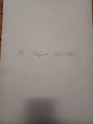 Mauro Barisone-Disegno "Polifonia"