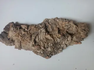 Pieza de corcho n. 7