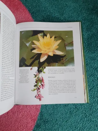 Libro DESCUBRIR LA NATURALEZA. EL MUNDO VEGETAL