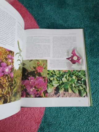 Libro DESCUBRIR LA NATURALEZA. EL MUNDO VEGETAL