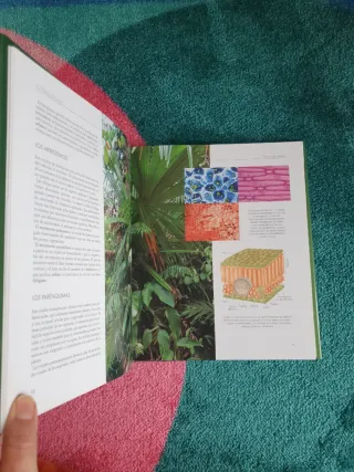 Libro DESCUBRIR LA NATURALEZA. EL MUNDO VEGETAL