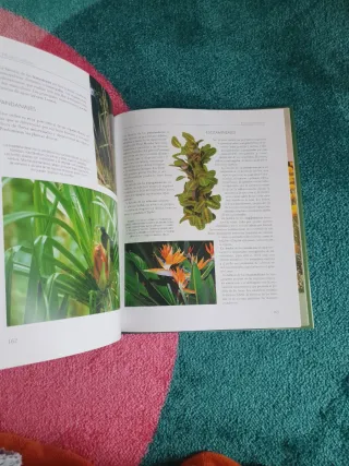 Libro DESCUBRIR LA NATURALEZA. EL MUNDO VEGETAL