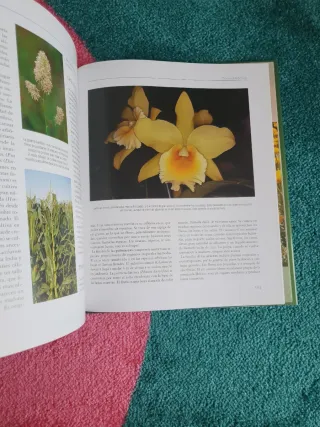 Libro DESCUBRIR LA NATURALEZA. EL MUNDO VEGETAL