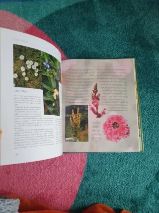 Libro DESCUBRIR LA NATURALEZA. EL MUNDO VEGETAL