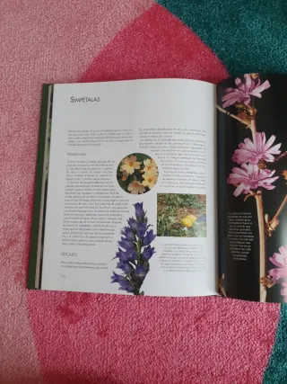 Libro DESCUBRIR LA NATURALEZA. EL MUNDO VEGETAL