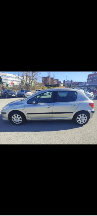 Peugeot 307 2006 PEGATINA C