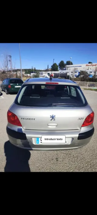 Peugeot 307 2006 PEGATINA C