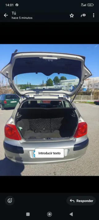 Peugeot 307 2006 PEGATINA C