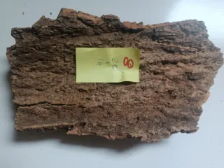 Pieza de corcho n. 8