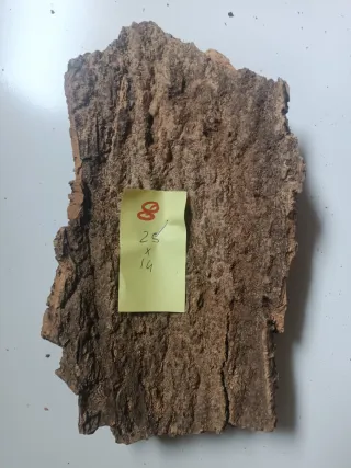 Pieza de corcho n. 8