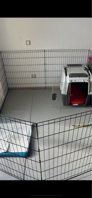 Transportín y reja para perro