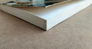 Libro Postres de frutas