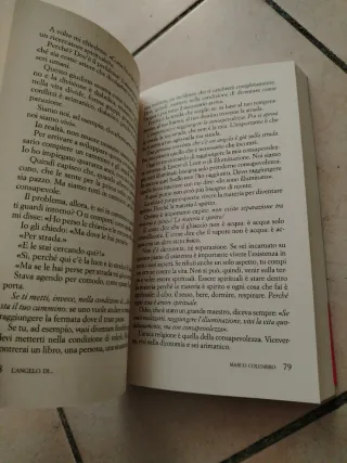 Gli angeli ci guidano. Da Al Bano a Zanardi, le...