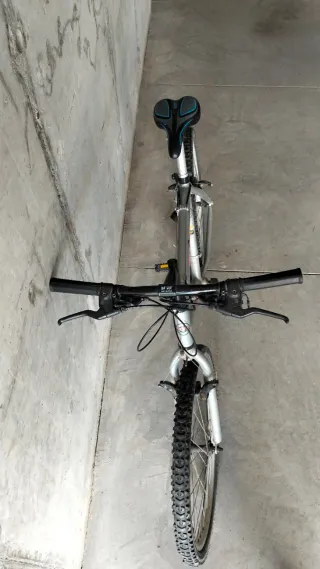 Bicicleta de montaña