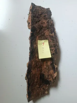 Pieza de corcho n. 9