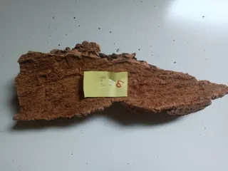 Pieza de corcho n. 10