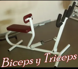 Máquina Bíceps y Tríceps