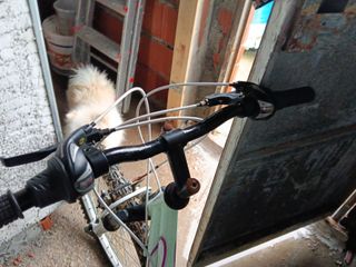 Bicicleta Mítica Katana S Rosa/Celeste