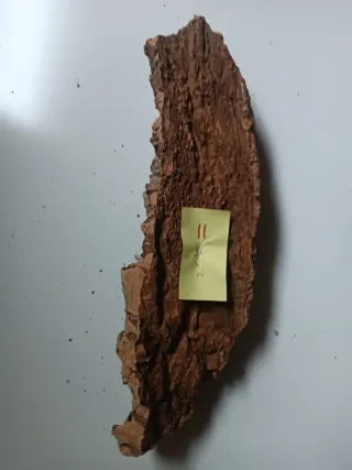 Pieza de corcho n. 11