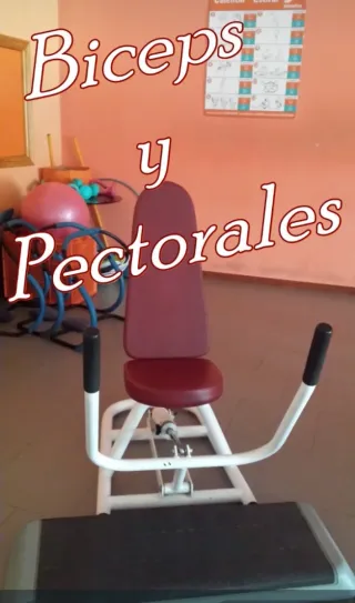 Máquina Bíceps y Pectorales