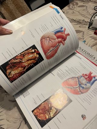 Atlas de Anatomía Humana, 3 Vols. + Acceso Online