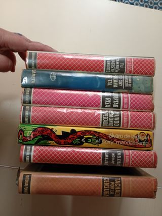 Lote libros Álvaro de la Iglesia