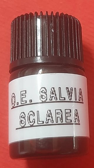 15 Semi di Salvia Sclarea o Salvia Moscatella