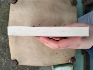 El verano en que me enamoré + Lola y el chico de a