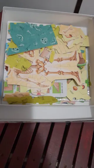 Juego Educativo El Cuerpo Humano Educa