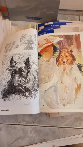 Lote completo:Colección Curso y Laminas